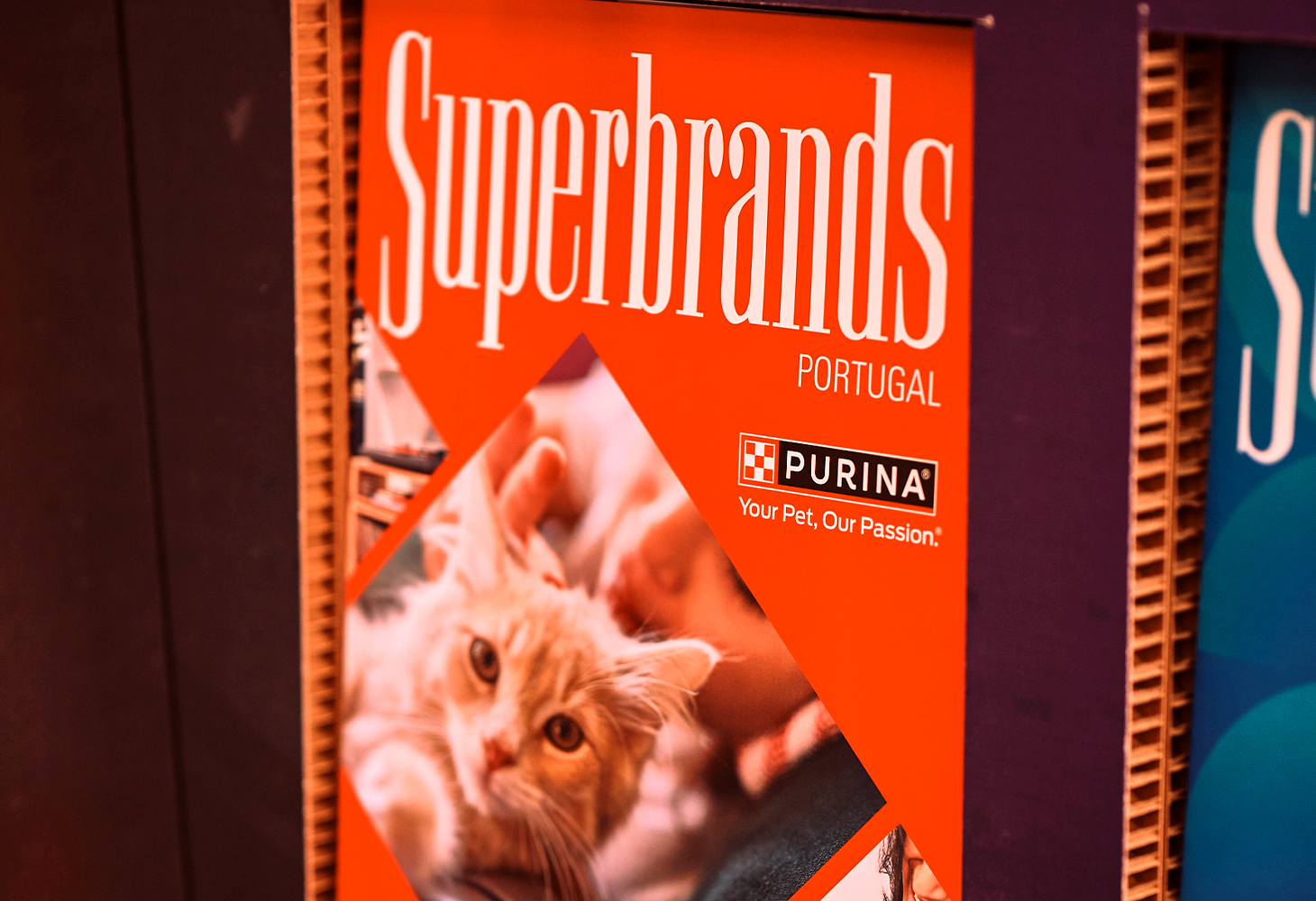 Purina Superbrands book design